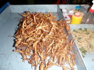 Hungry? Deep fried insects