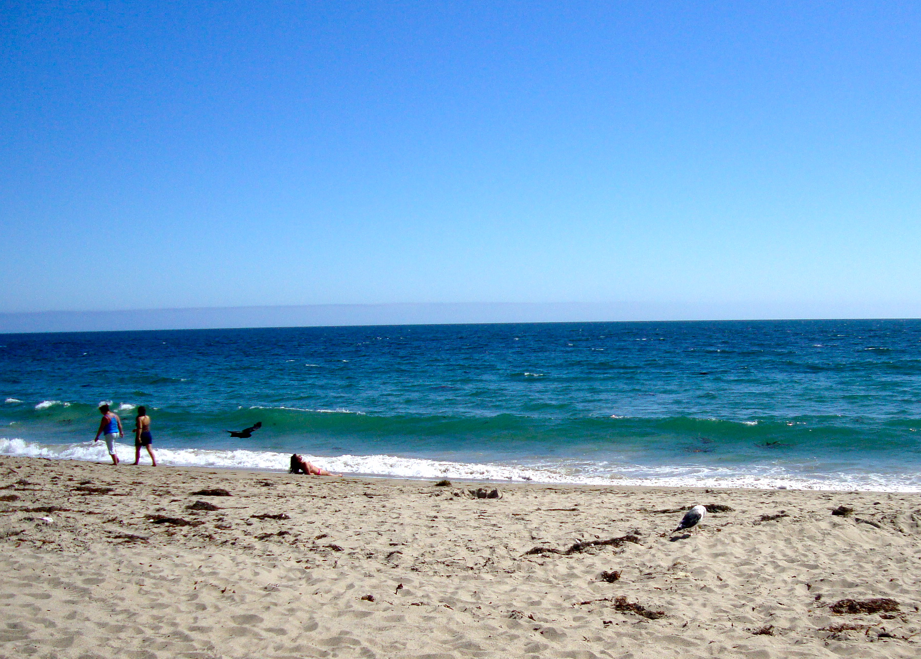 Best beaches in la area