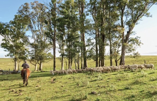 Horseback Riding in Uruguay