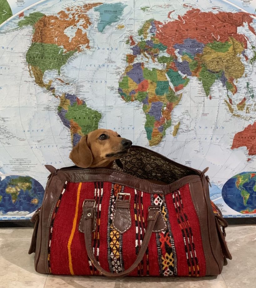 Lenny-in-a-Bag-913x1024